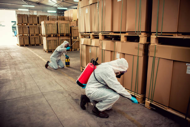 Best Pest Prevention Services  in East Niles, CA