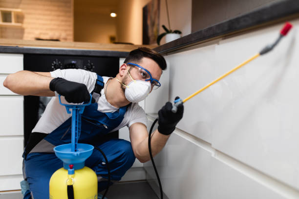 Best Termite Control Services  in East Niles, CA