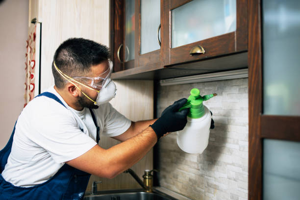 Best Pest Inspection Near Me  in East Niles, CA