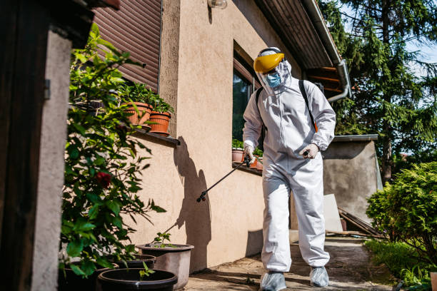 Best Bird Control  in East Niles, CA