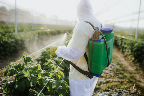 Pest Control for Restaurants in East Niles, CA